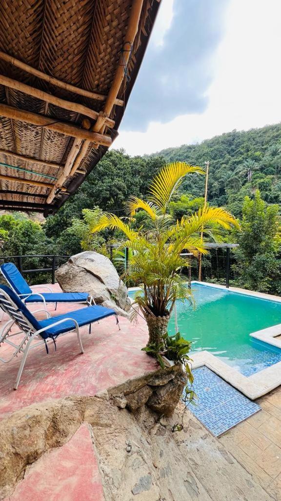 Minca Cabana La Roca Santa Marta  Exteriör bild