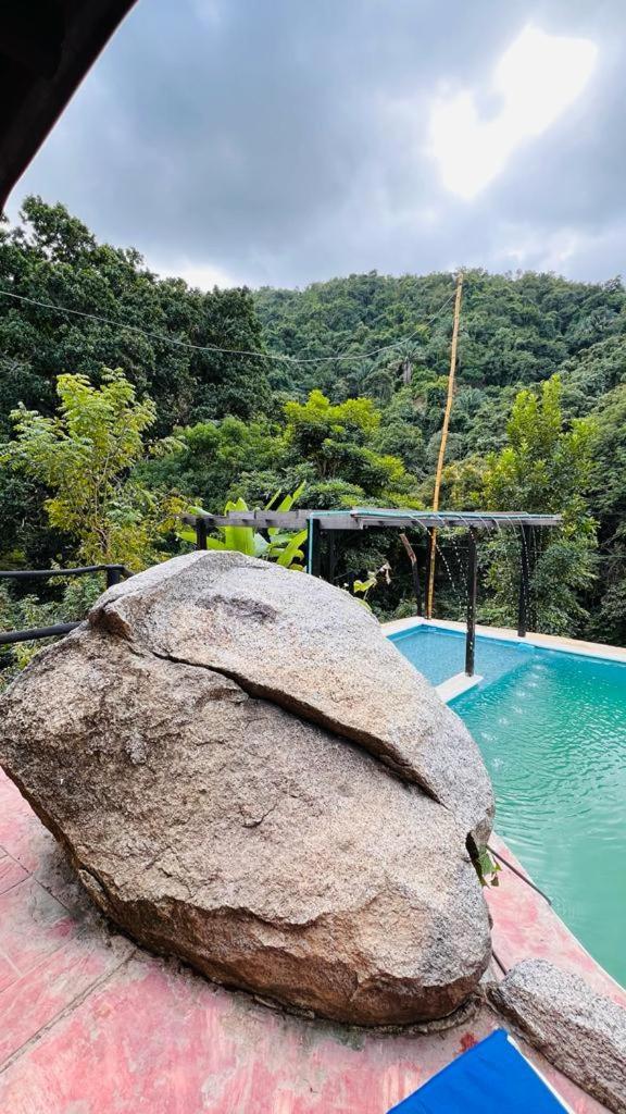 Minca Cabana La Roca Santa Marta  Exteriör bild