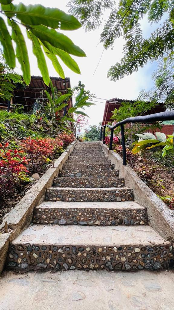 Minca Cabana La Roca Santa Marta  Exteriör bild
