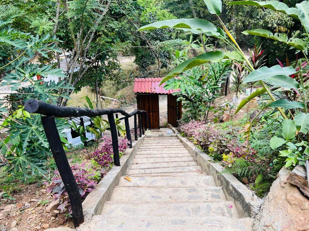 Minca Cabana La Roca Santa Marta  Exteriör bild