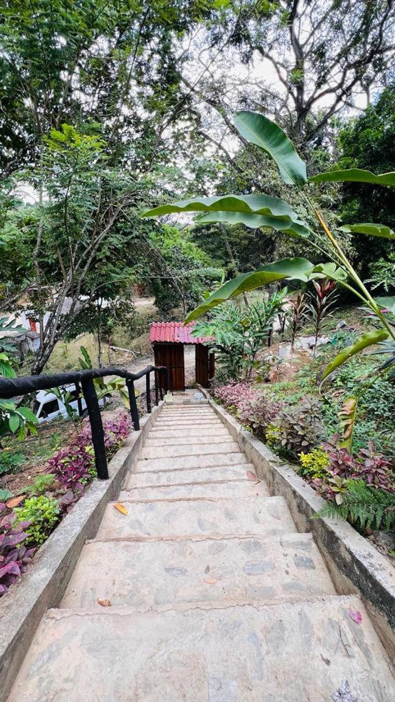 Minca Cabana La Roca Santa Marta  Exteriör bild