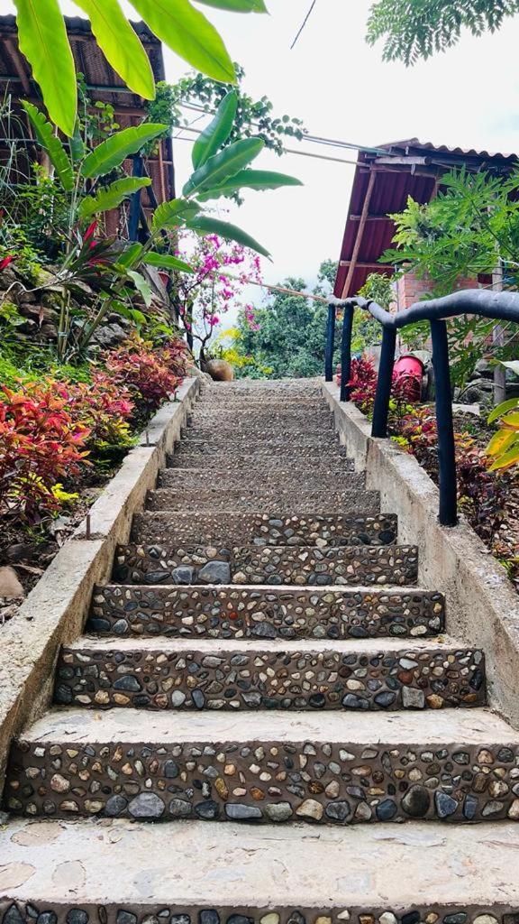 Minca Cabana La Roca Santa Marta  Exteriör bild